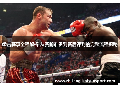 拳击赛事全程解析 从赛前准备到赛后评判的完整流程揭秘