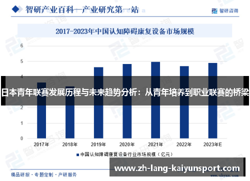 日本青年联赛发展历程与未来趋势分析：从青年培养到职业联赛的桥梁